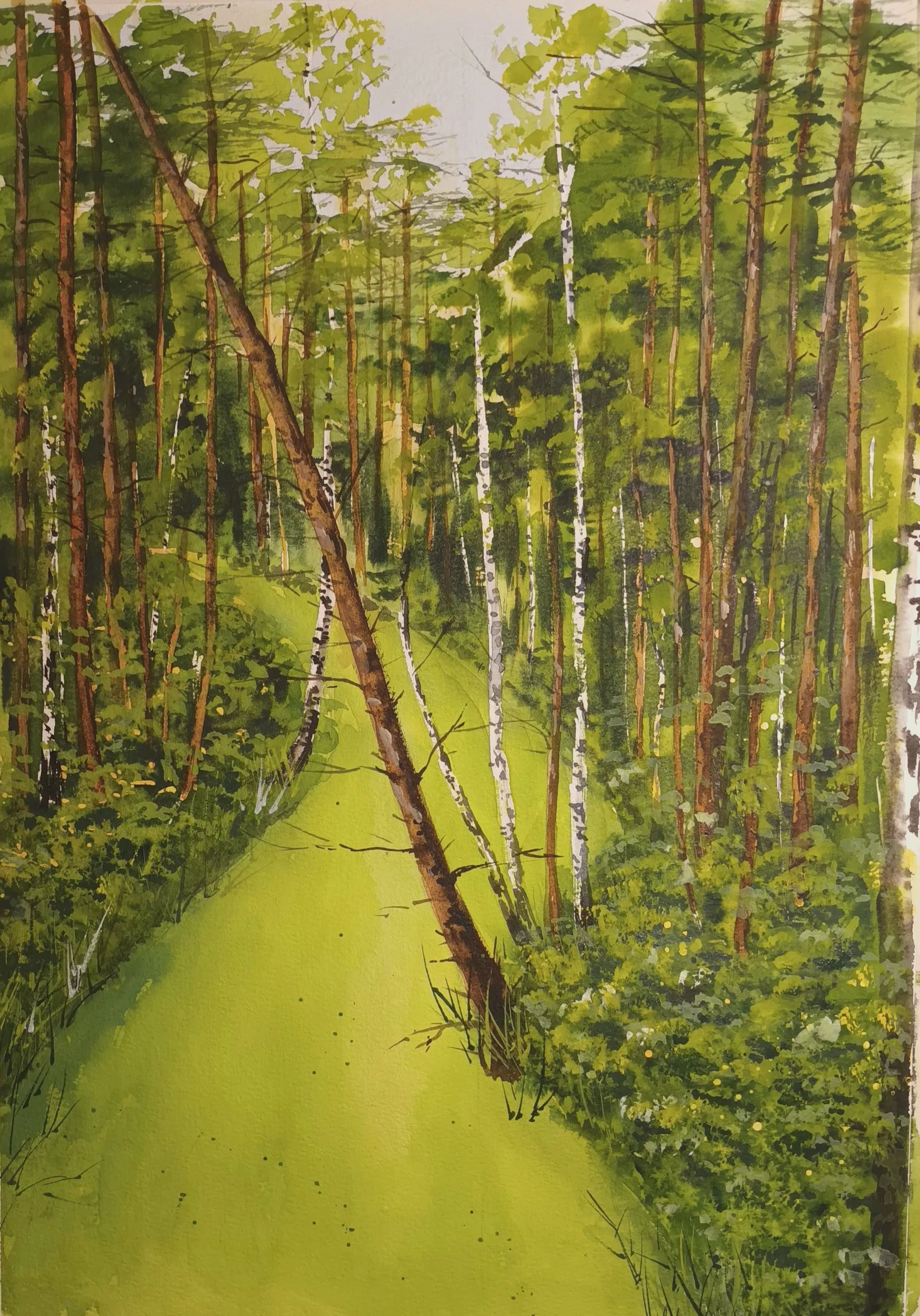 Лесная речка