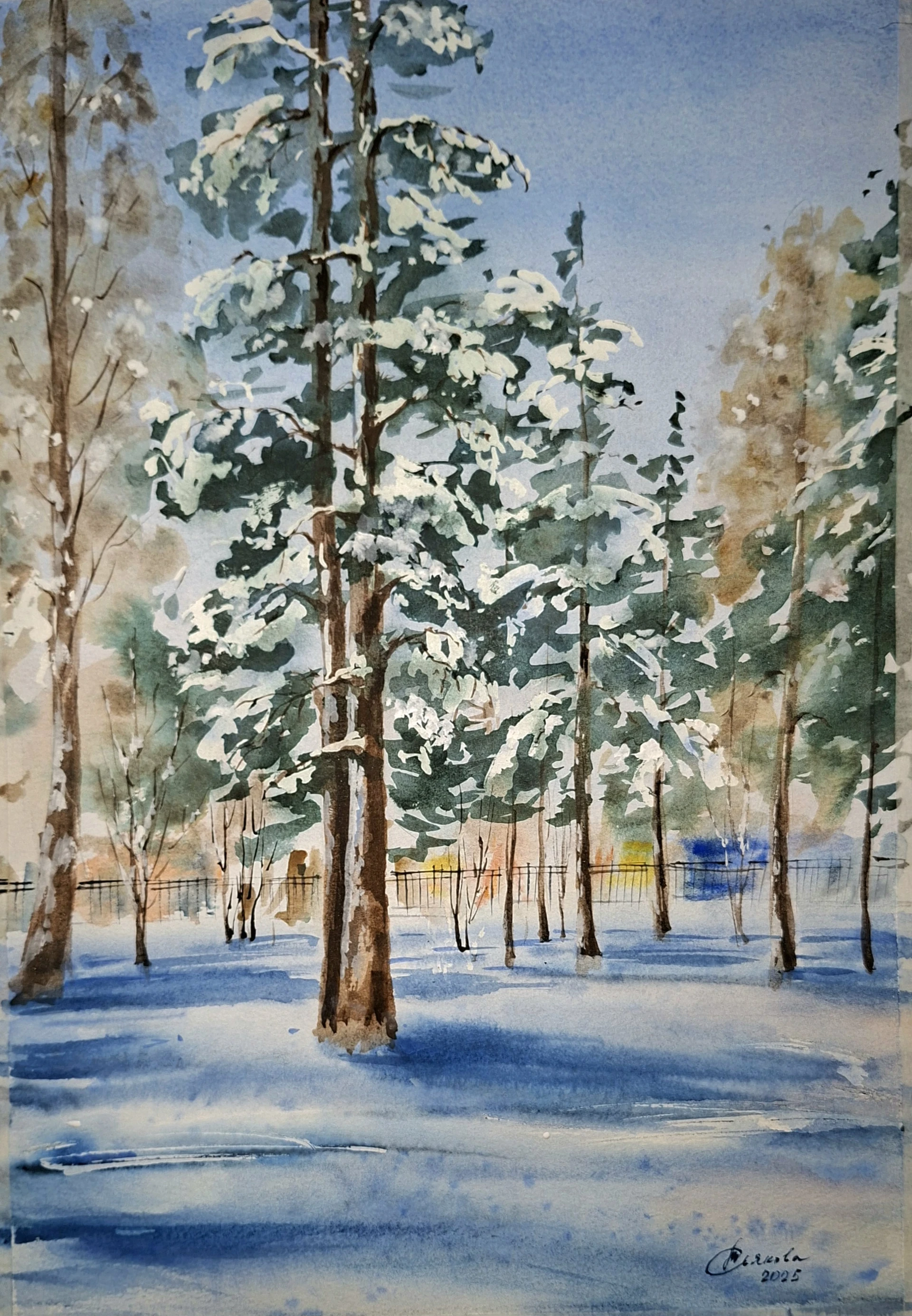 Заснеженный парк