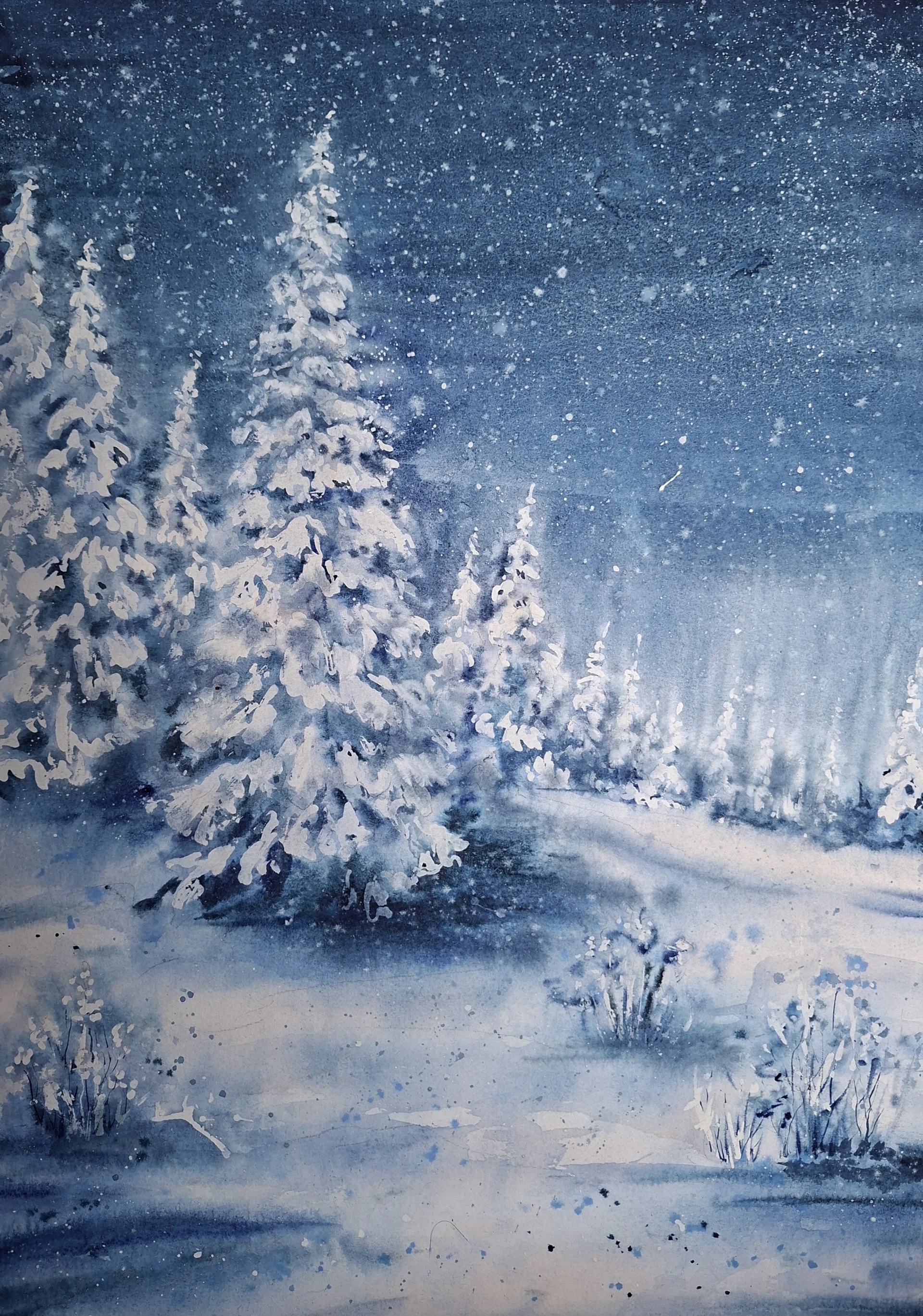 Снежная симфония