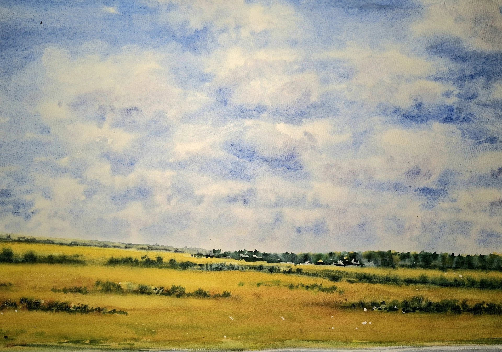 Дорога вдоль полей