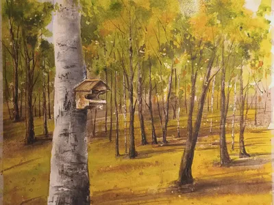 Осенний парк