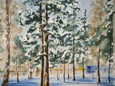 Заснеженный парк