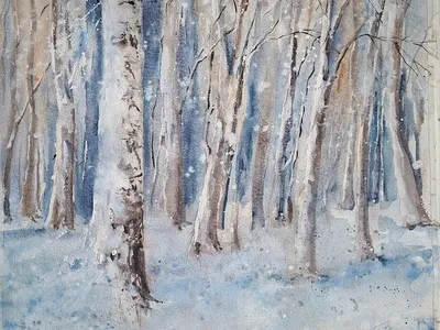 Снежный февраль