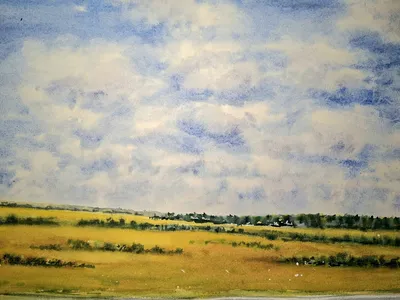 Дорога вдоль полей